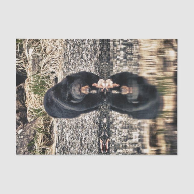 Papel De Seda Reflexiones del oso negro (Anverso)