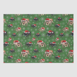 Papel De Seda Regal Jumping Spider Phiddipus Regius Holiday Moss