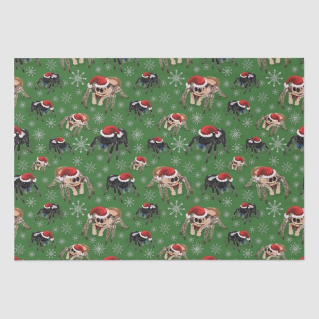 Papel De Seda Regal Jumping Spider Phiddipus Regius Holiday Moss (Anverso)