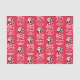 Papel De Seda Reindeer Express de Santa Photo Navidades Red