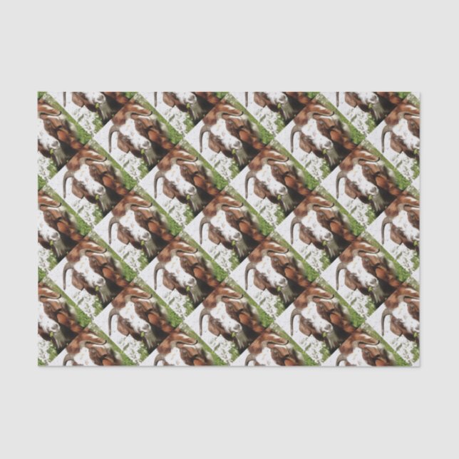 Papel De Seda Retrato Artístico De Una Cabra Que Alardea (Anverso)