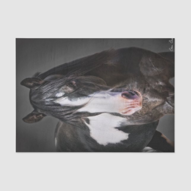 Papel De Seda Retrato de caballo II (Anverso)