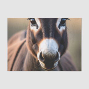 Papel De Seda Retrato de cerca de burro curioso
