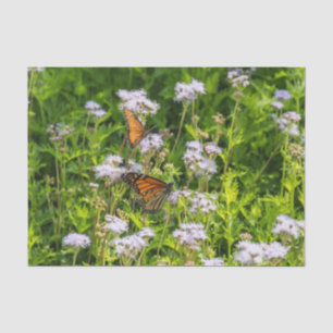 Papel De Seda Rey y reina