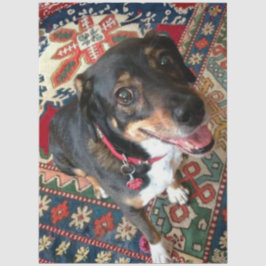 Papel De Seda Riley 2