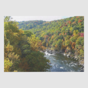 Papel De Seda Río Ohiopyle en Otoño II Pennsylvania Otoño