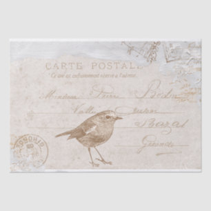 Papel De Seda Robin Bird Carte Postale French Decoupage Blue