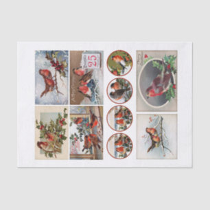 Papel De Seda Robin Bird Ephemera Fussy Cuts original (no AI)