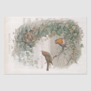 Papel De Seda Robin Bird Nest vina la vieja página de música