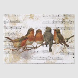 Papel De Seda Robin Bird Sheet Music Gold Silver Notes Decp