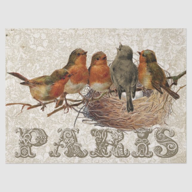 Papel De Seda Robin Birds Nest Paris Decoupage (Anverso)