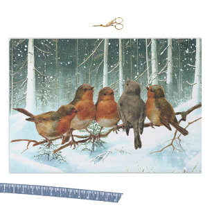 Papel De Seda Robin Birds sobre los Navidades de invierno de la