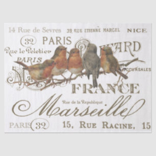 Papel De Seda Robin Birds Vintage French City Names Decoupage