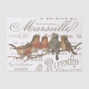 Papel De Seda Robin Birds Vintage French City Names Tissue Paper