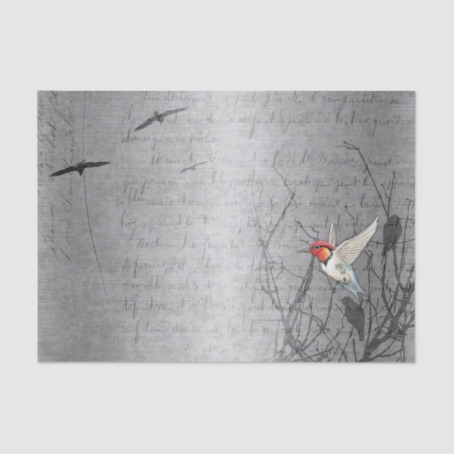 Papel De Seda Robin Toma El Vuelo (Anverso)