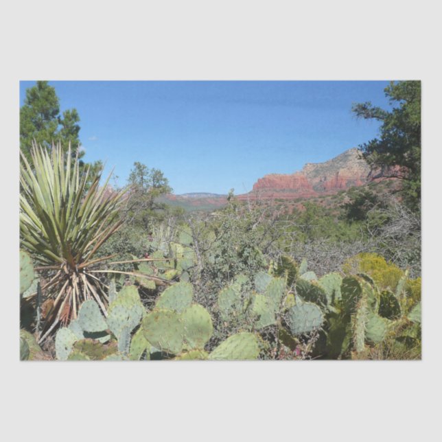 Papel De Seda Rocas rojas y cactus I (Anverso)