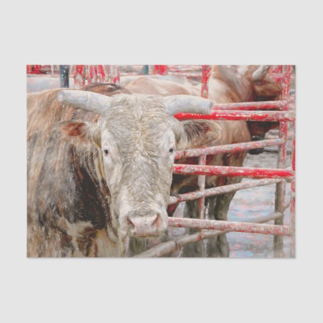 Papel De Seda Rodeo Rústico País Occidental (Anverso)