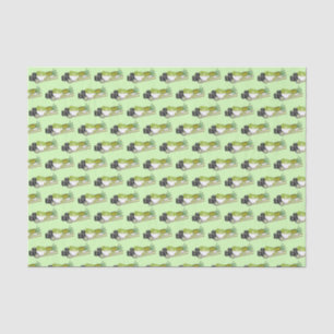 Papel De Seda Rol aguacate Wasabi Sushi cena japonesa