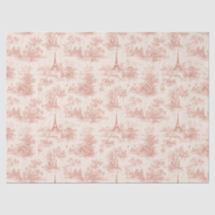 Papel De Seda Romántico Toile Francés de Campo Rosa (2)