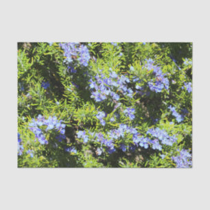 Papel De Seda romero florido