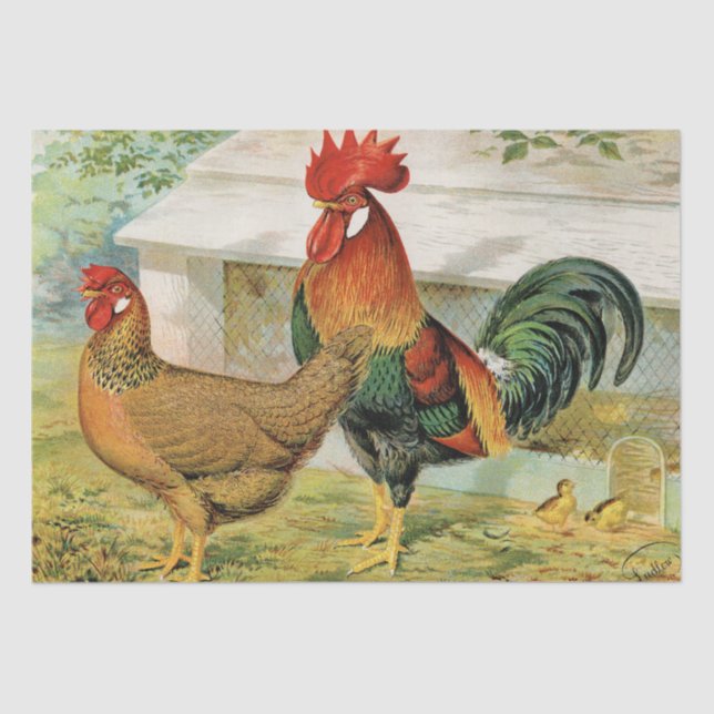 Papel De Seda Rooster de época y fiesta de gallina (Anverso)
