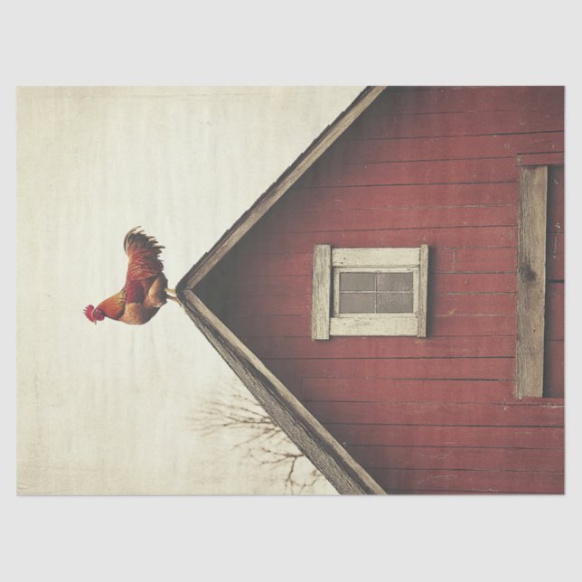 Papel De Seda Rooster en la desconexión de la azotea (Anverso)