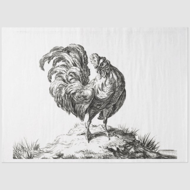 Papel De Seda Rooster en una granja de cosecha de cosecha de ens (Anverso)