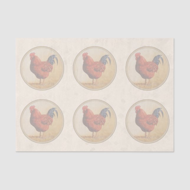 Papel De Seda Rooster Rojo de Rhode Island Fondo Amarillo (Anverso)