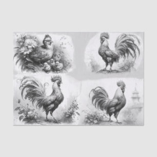 Papel De Seda Rooster Sketches