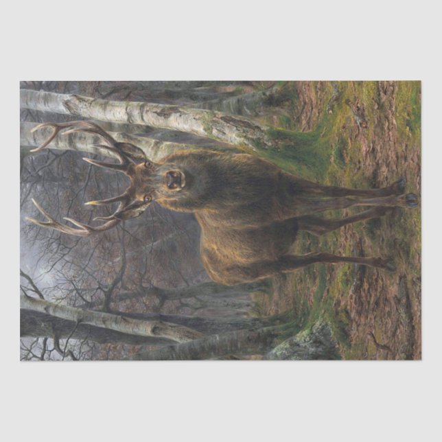 Papel De Seda Rosa Bonheur | Rey del bosque (Anverso)