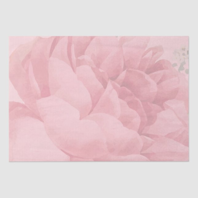 Papel De Seda Rosa de Bonito floral rosa de Rubor (Anverso)