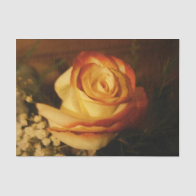 Papel De Seda Rosa de crema (Anverso)