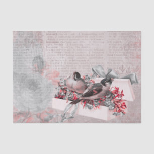 Papel De Seda Rosa de la época y desenlace de la Bonito de las a