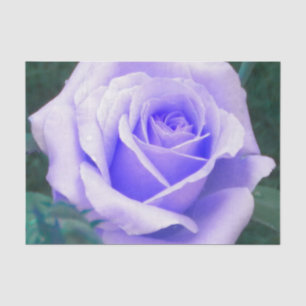 Papel De Seda Rosa de lavadora pálida