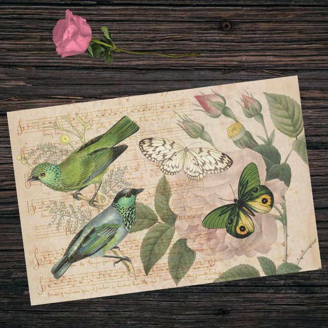 Papel De Seda Rosa de mariposas de pájaros musicales verde rosa (Subido por el creador)