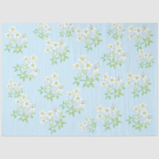 Papel De Seda rosa de navidades, Helleborus niger