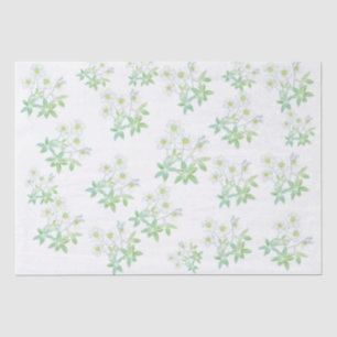 Papel De Seda rosa de navidades, Helleborus niger