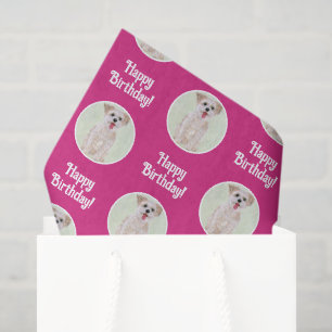 Papel de seda rosa de perro Morkie