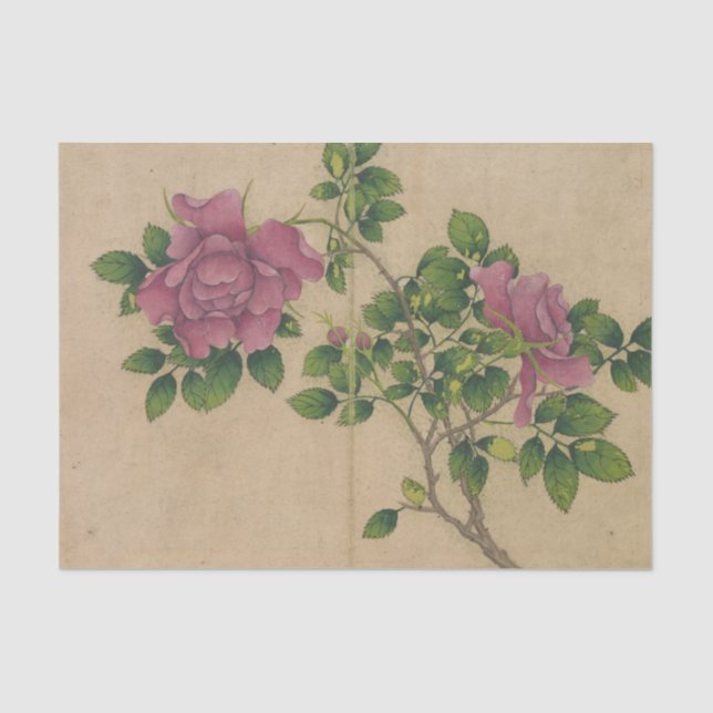 Papel De Seda Rosa de Zhang Ruoai (Anverso)