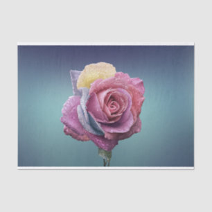 Papel De Seda Rosa multicolor
