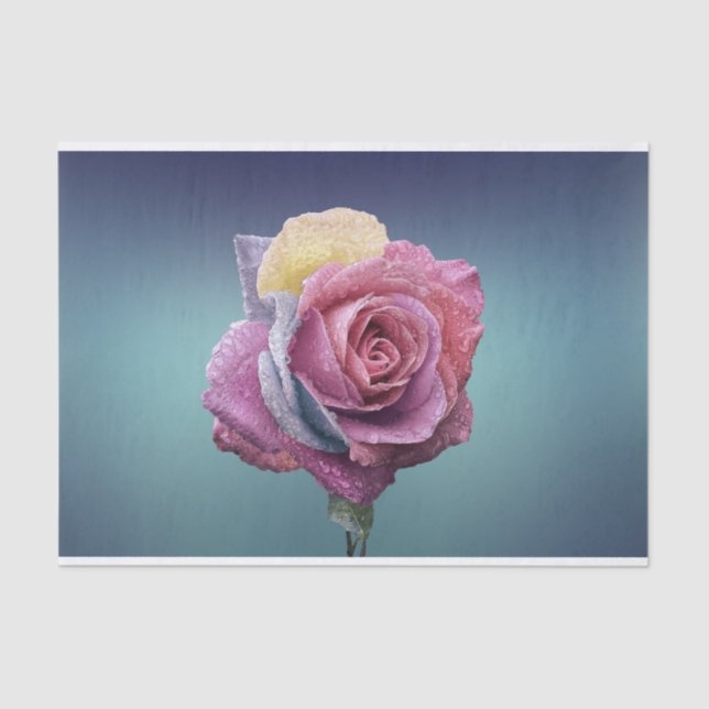 Papel De Seda Rosa multicolor (Anverso)