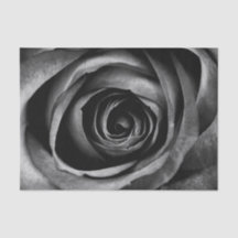 Rosa negro Flor Flor Vintage decorativo floral
