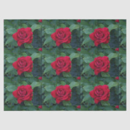 Papel De Seda Rosa Roja de Cerca