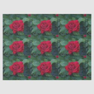Papel De Seda Rosa Roja de Cerca