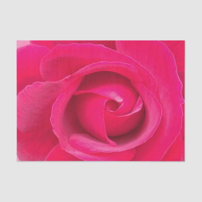 Papel De Seda Rosa Roja Romántica (Anverso)