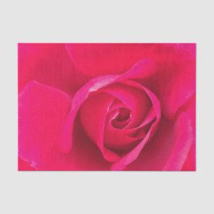 Papel De Seda Rosa Roja Romántica v2