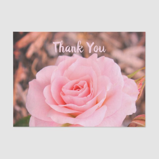 Papel De Seda Rosa rosa elegante (Anverso)