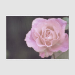 Papel De Seda Rosa rosa magnífico