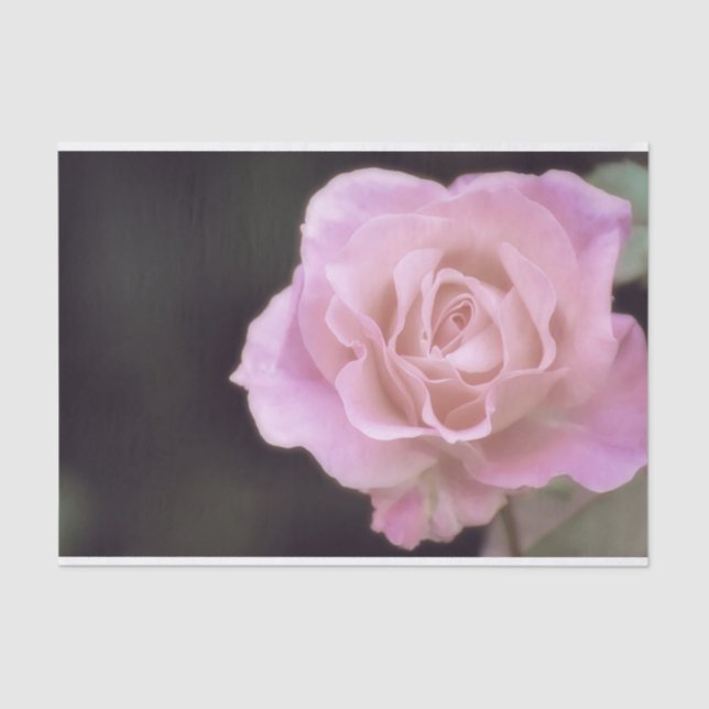 Papel De Seda Rosa rosa magnífico (Anverso)