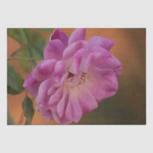 Papel De Seda Rosa rosa polvoriento